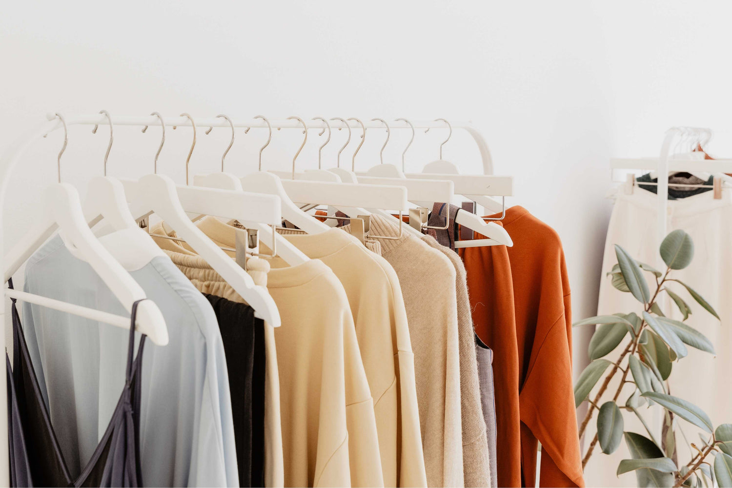 Row of clothes on hangers against a white wall with a plant in the corner.